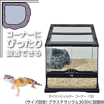 Amazon.co.jp: エキゾテラ GEX EXOTERRA モイストシェルター コーナー