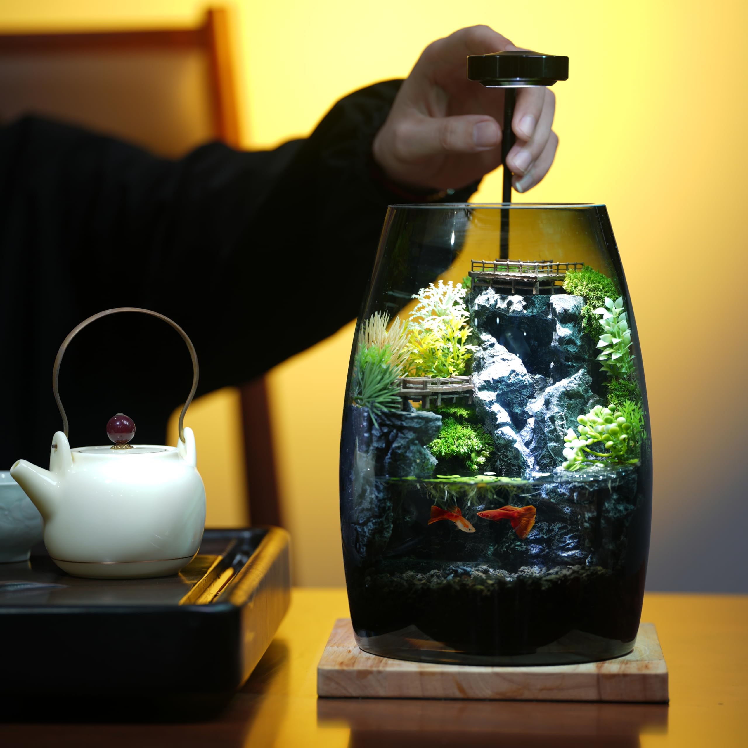 水を入れるだけですぐに始められる ミニチュアランドスケープ