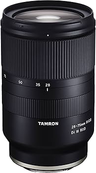 Amazon.com : TAMRON 28-75mm F2.8 RXD A036SF Lens for Sony-FE