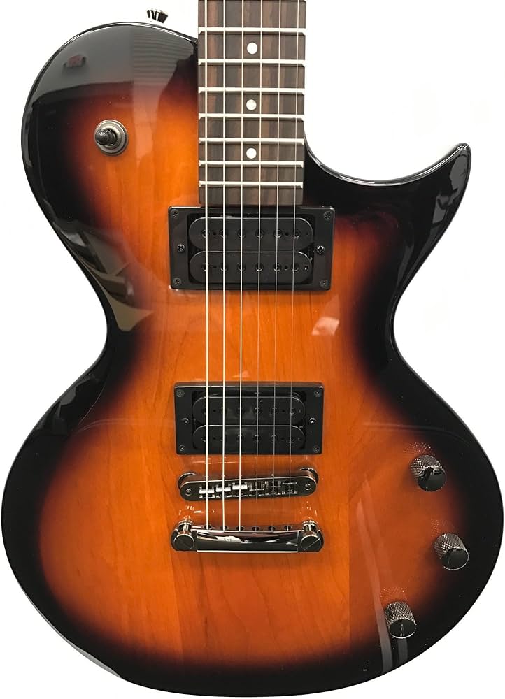 Amazon.co.jp: Fernandes フェルナンデス Monterey X エレキギター