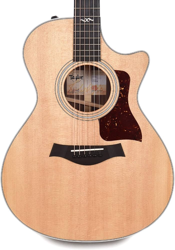 Amazon | Taylor 412ce-R Vクラス アコースティックエレキギター