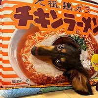 Amazon | 日清食品 ペットハウス チキンラーメン型 クッション付き 日