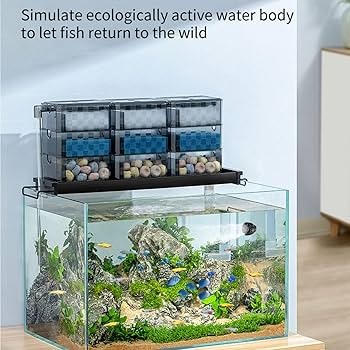 81N7h3qCjqL._AC_UF350,