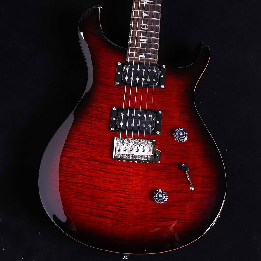 Amazon | SE Custom24 Fire Red Burst | エレキギター | 楽器・音響機器