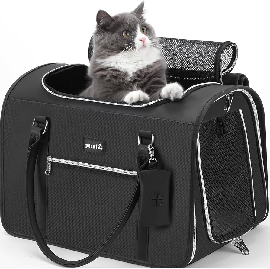 Amazon.co.jp: Pecute ペットキャリー 猫キャリー バッグ 手提げ 猫