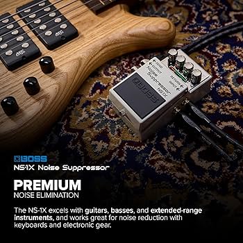 Amazon.com: BOSS NS-1X Noise Suppressor | Next-Generation Noise