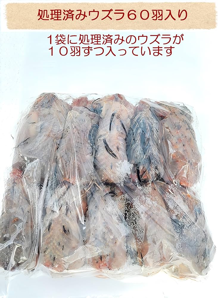 冷凍ウズラ 63羽処理済み 猛禽類、爬虫類のエサ