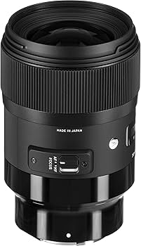 Amazon.com : Sigma 35mm F1.4 Art DG HSM for Sony E : Electronics