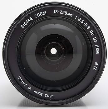 Amazon.com : Sigma 18-250mm f/3.5-6.3 DC OS HSM IF Lens for Canon