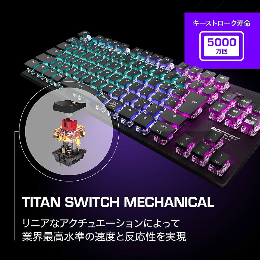 81RHx0gC1ZL._AC_UF894,