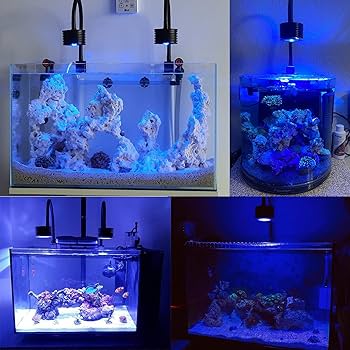 Amazon | Lominie Asta 20 アクアリウム ledライト 水槽 海水 照明