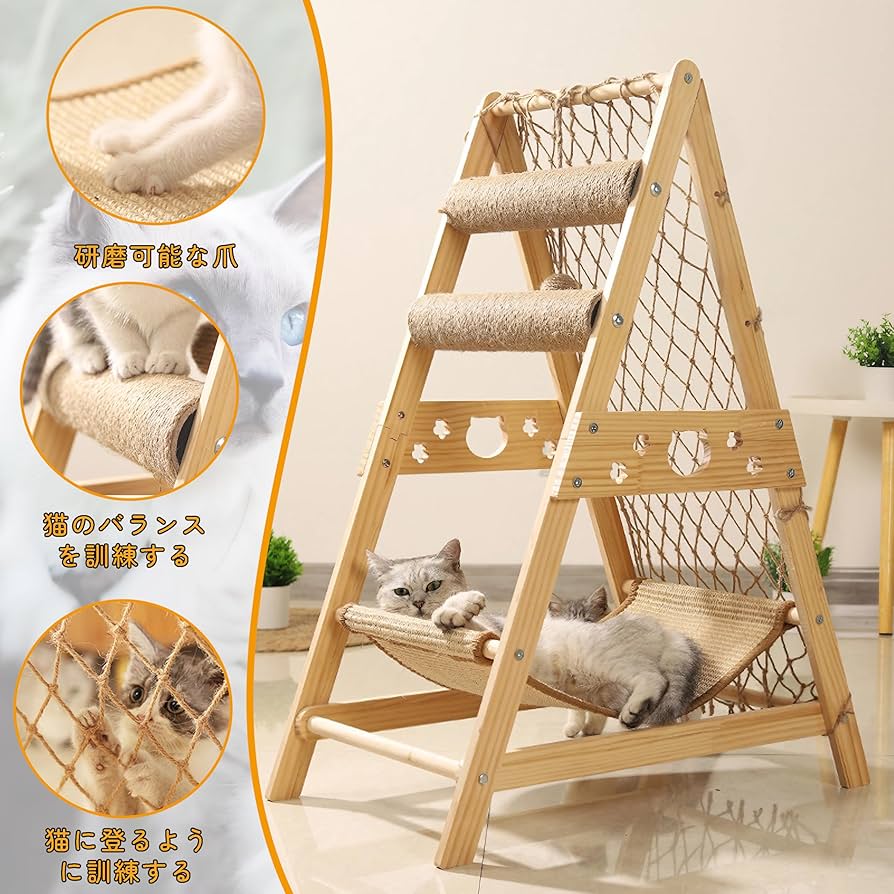 シナリー C3 3つ 山猫様 シナリーC3 3つ山猫様