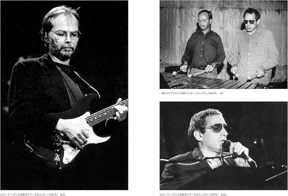 スティーリー・ダンのギタリストのピック Larry Carlton Steve