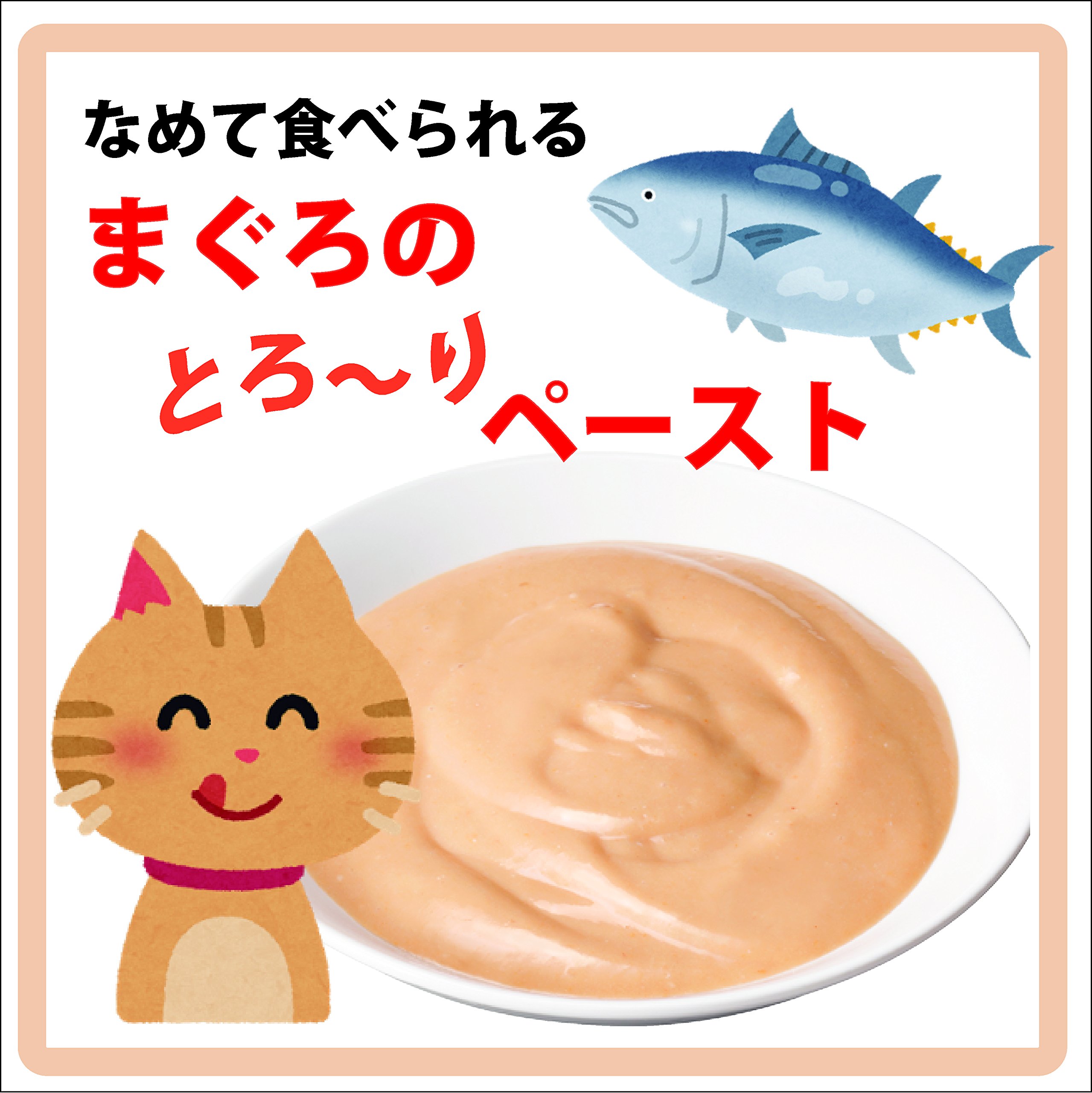 Amazon | 健康缶 シニア猫用 健康缶パウチ エイジングケア 40g×12袋