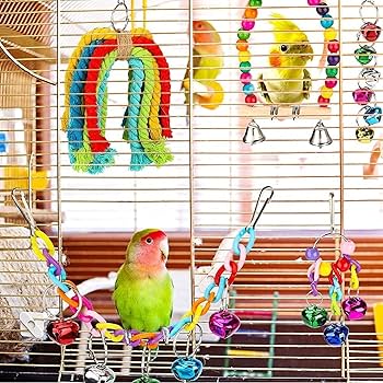 Amazon | バードトイ おもちゃ オカメインコ コザクラインコ