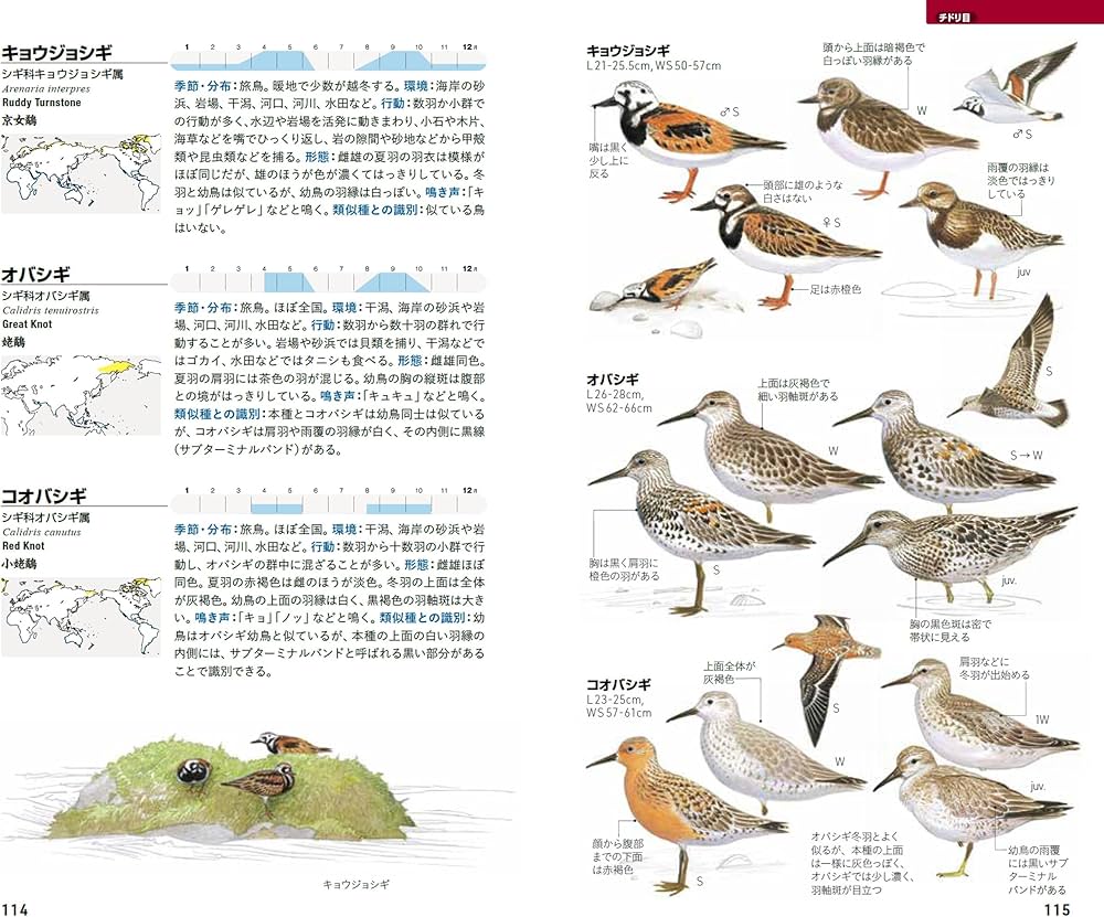フィールド図鑑 日本の野鳥 第3版 | 水谷高英, 叶内拓哉 |本 | 通販