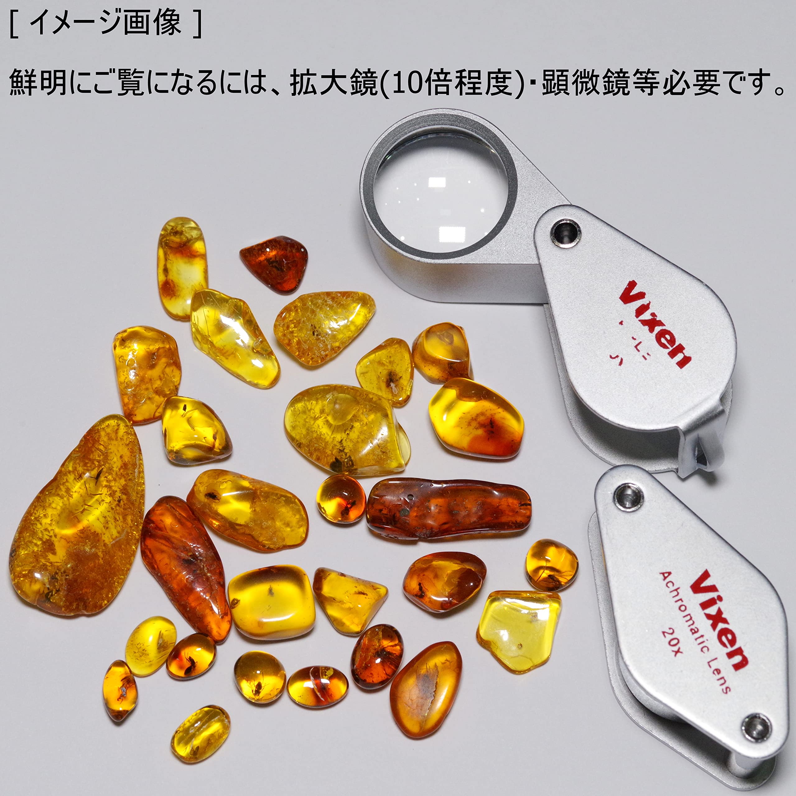 オーストラリア産】ゴキブリ入り！天然琥珀(アンバー)