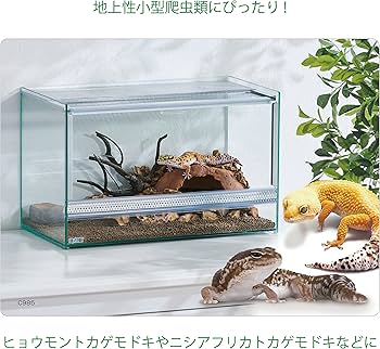 Amazon | エキゾテラ GEX EXOTERRA レプテリア クリアネオ 400Slim