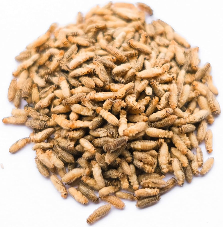 Amazon | GokiBank 冷凍コオロギ 1cm前後 40g 約550匹 爬虫類・両生類