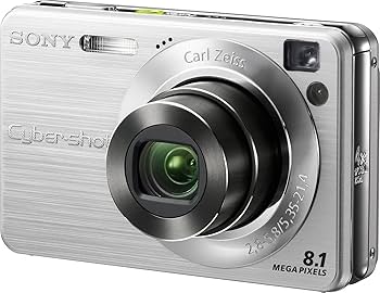 Amazon.com : Sony Cyber-shot DSC-W130 8.1MP Digital Camera with 4x