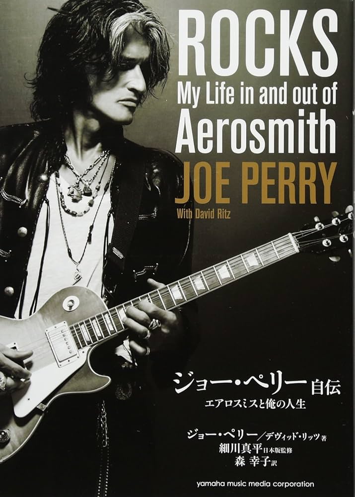 Aerosmith エアロスミス Joe Perry 2019 ギターピック Aerosmith