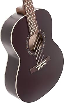 Amazon.co.jp: Norman ノーマン アコースティックギター Protege