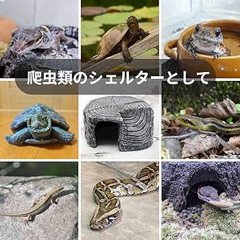 Amazon | SevenTone 爬虫類 シェルター 小型 隠れ家 アクアリウム