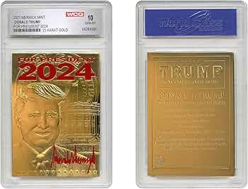 81e2Z11csRL._AC_UF350,