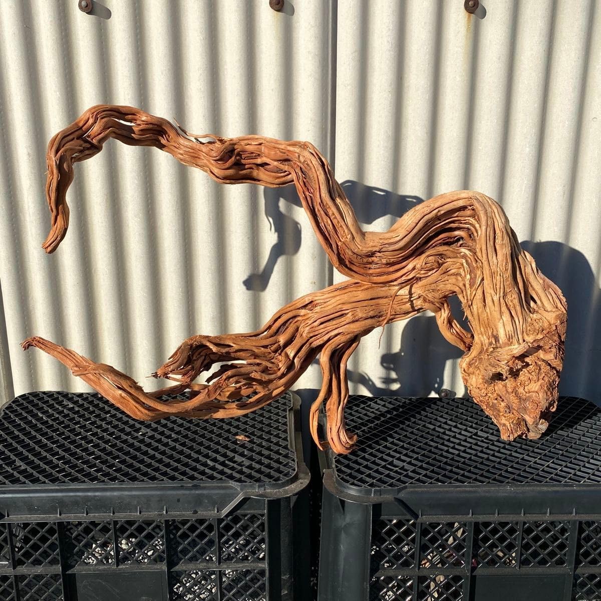 MTW-6748 蔦流木1点物 90cm水槽用流木 アクアリウム MTW-6748蔦流木