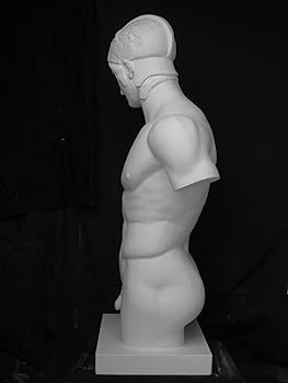 81fI1AXrgGL._AC_UF350,