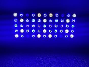 Amazon.co.jp: 【PSE技術基準適合】サンゴの育成と演色に特化した165W