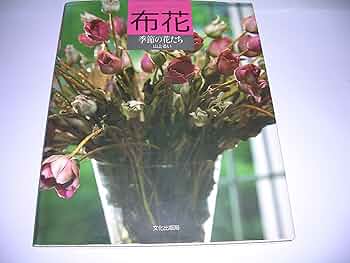 81hw01Y2C3L._AC_UF350,