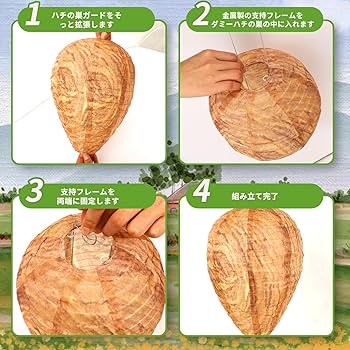 BEEHIVE（蜂の巣） カイフランク BEEHIVE（蜂の巣） カイフランク カイ