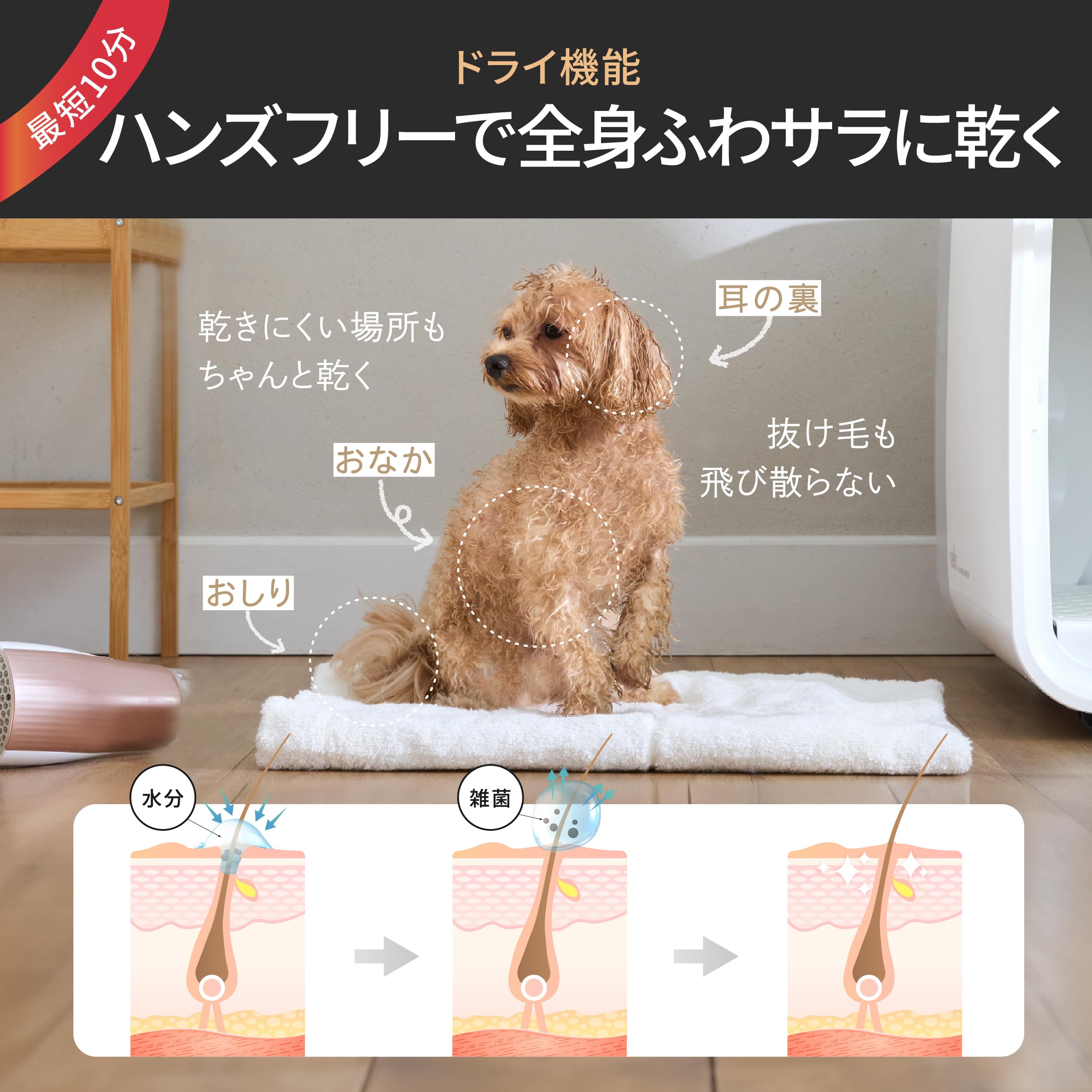 nello ペットドライルーム®️+Deo 脱臭モード搭載NEWモデル