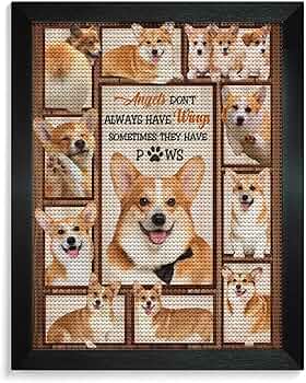 81lab55WnaL._AC_UF350,