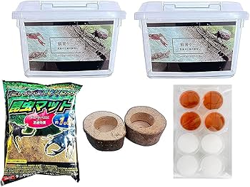 Amazon | 昆虫すごいぜ！ カブトムシ＆クワガタ 飼育セット