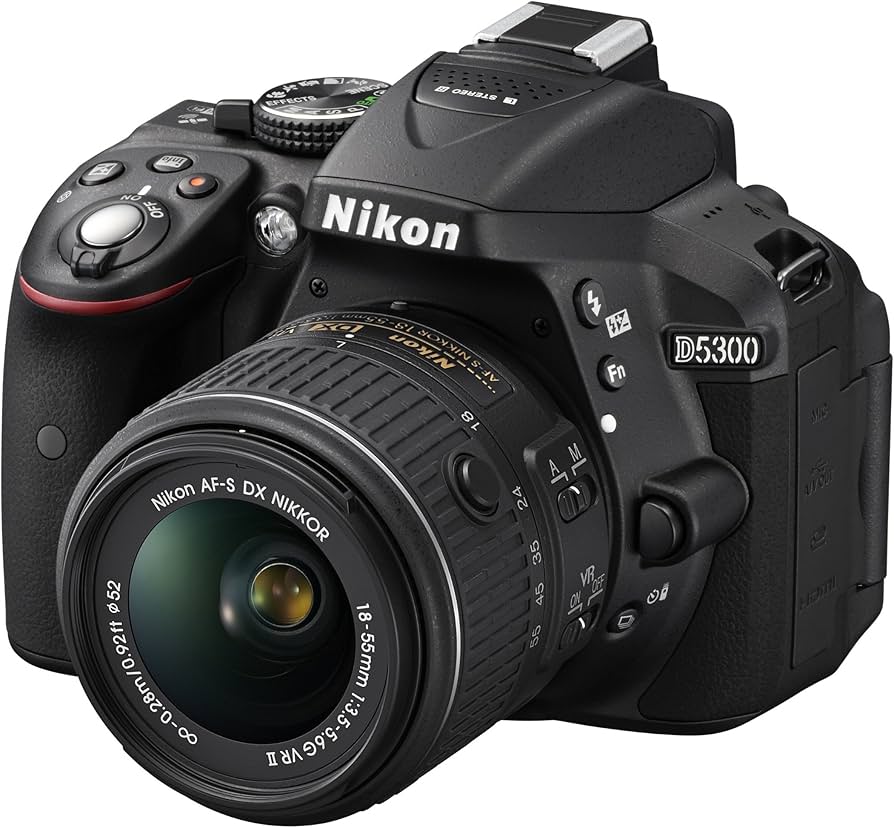 Amazon.com : Nikon D5300 24.2 MP CMOS Digital SLR Camera with 18