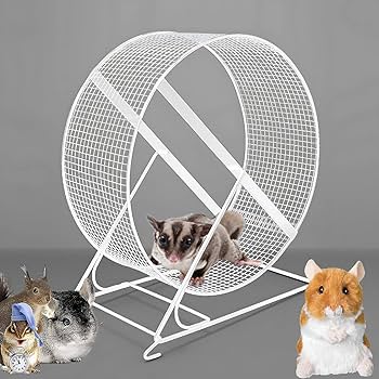 Amazon.co.jp: ハムスター 回し車 ハムスター専用まわし車 21cm 大直径