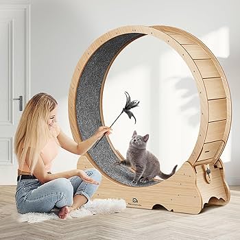 Amazon.co.jp: Naviconvex キャットホイール 猫の車輪 XL 直径113