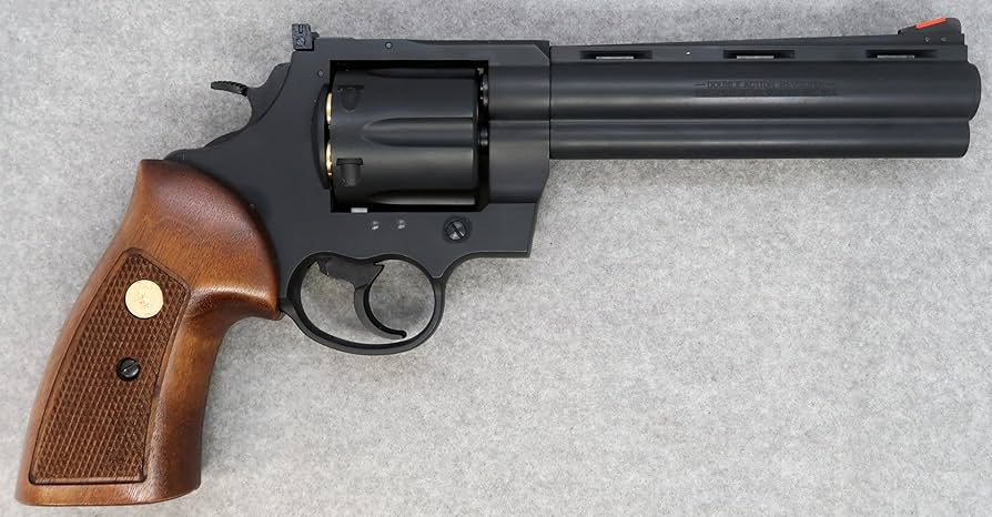 81pxKKdAWML._AC_UF894,