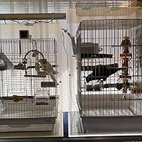 Amazon | misorato【HOEI 465オカメ（ステンレス）鳥かご用】アクリル