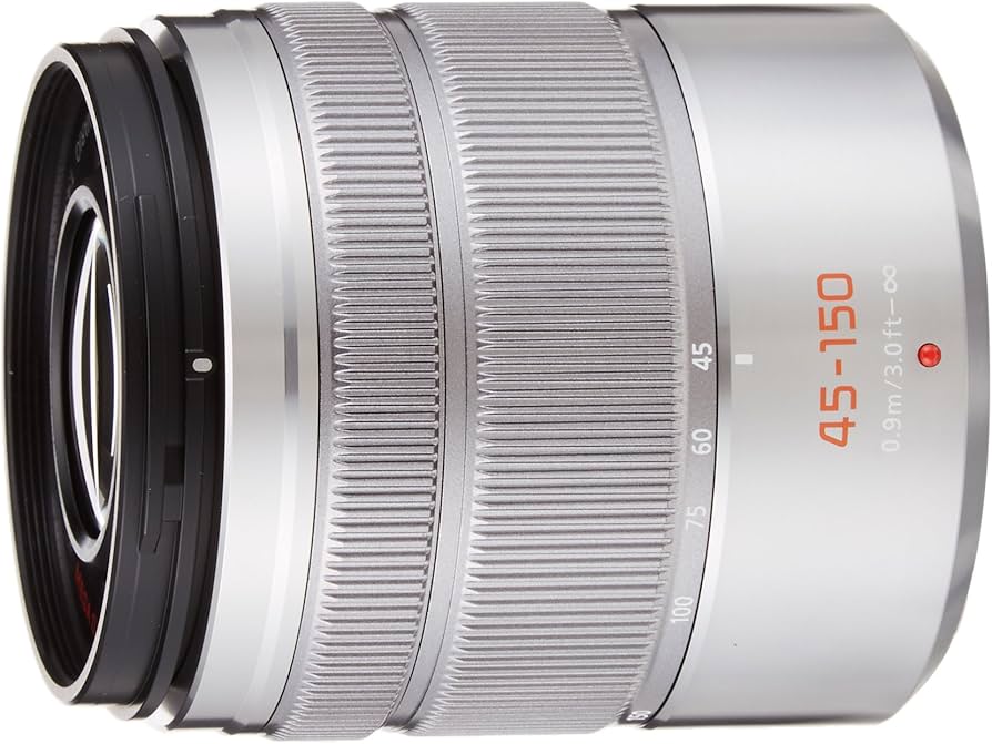 Amazon.com : Panasonic Telephoto Zoom Lens for Micro Four Thirds