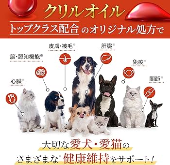 Amazon.co.jp: 【獣医師監修】 うちの脳活サポート サプリメント 犬 猫