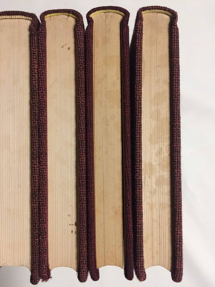 Amazon.co.jp: ヒマラヤ聖者の生活探求 全5巻 : B・T・スポール