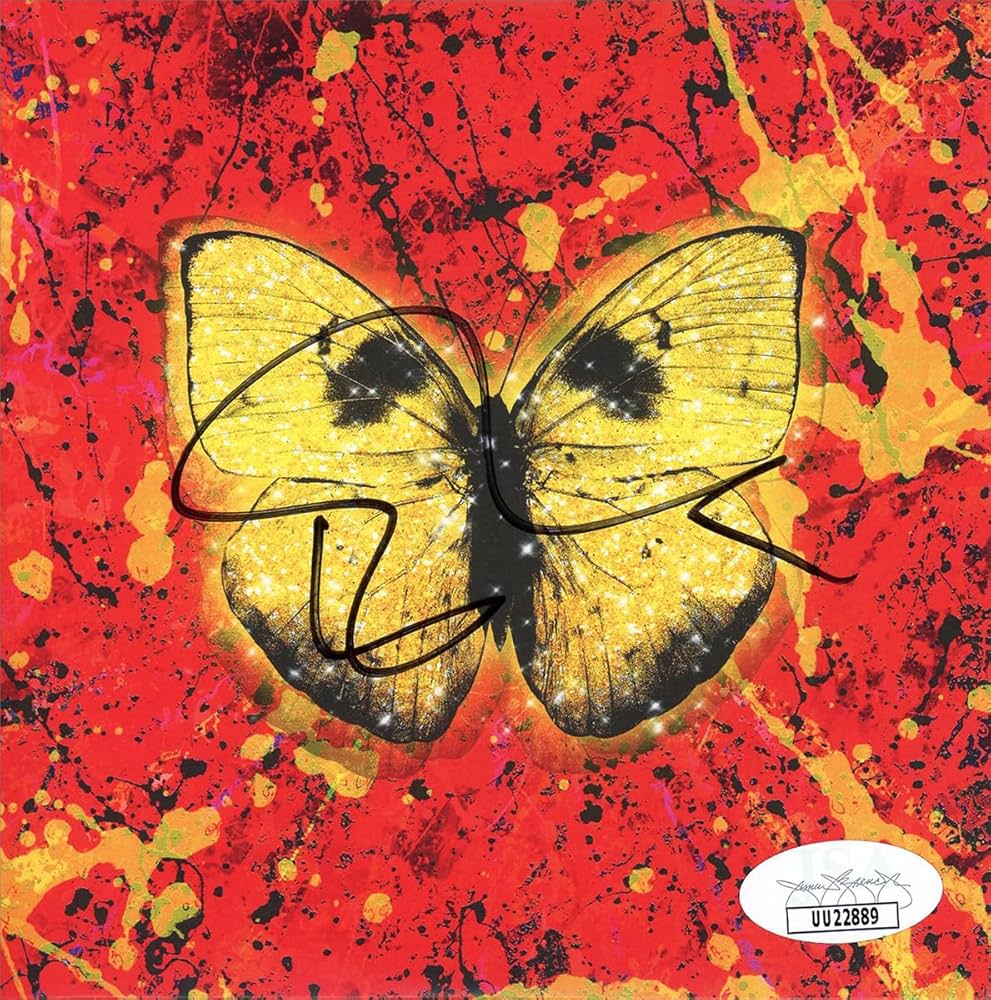 直筆サイン入り写真 エズラ・ミラー ジャスティス・リーグ SA鑑定済