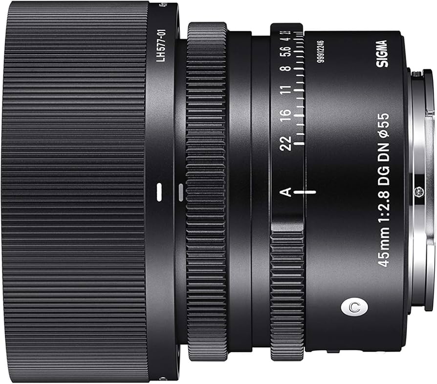 Amazon.com : Sigma 45mm F2.8 Contemporary DG DN Lens for Sony E