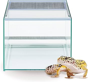 Amazon | GEX EXOTERRA レプテリア クリア300キューブ ガラスケージ