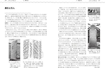 81svtmG0toL._AC_UF350,