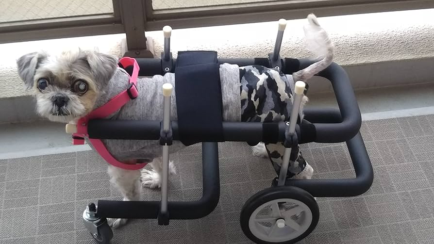Amazon.co.jp: 犬用車椅子 歩行器 小型犬用 オーダーメイド 4輪 室内