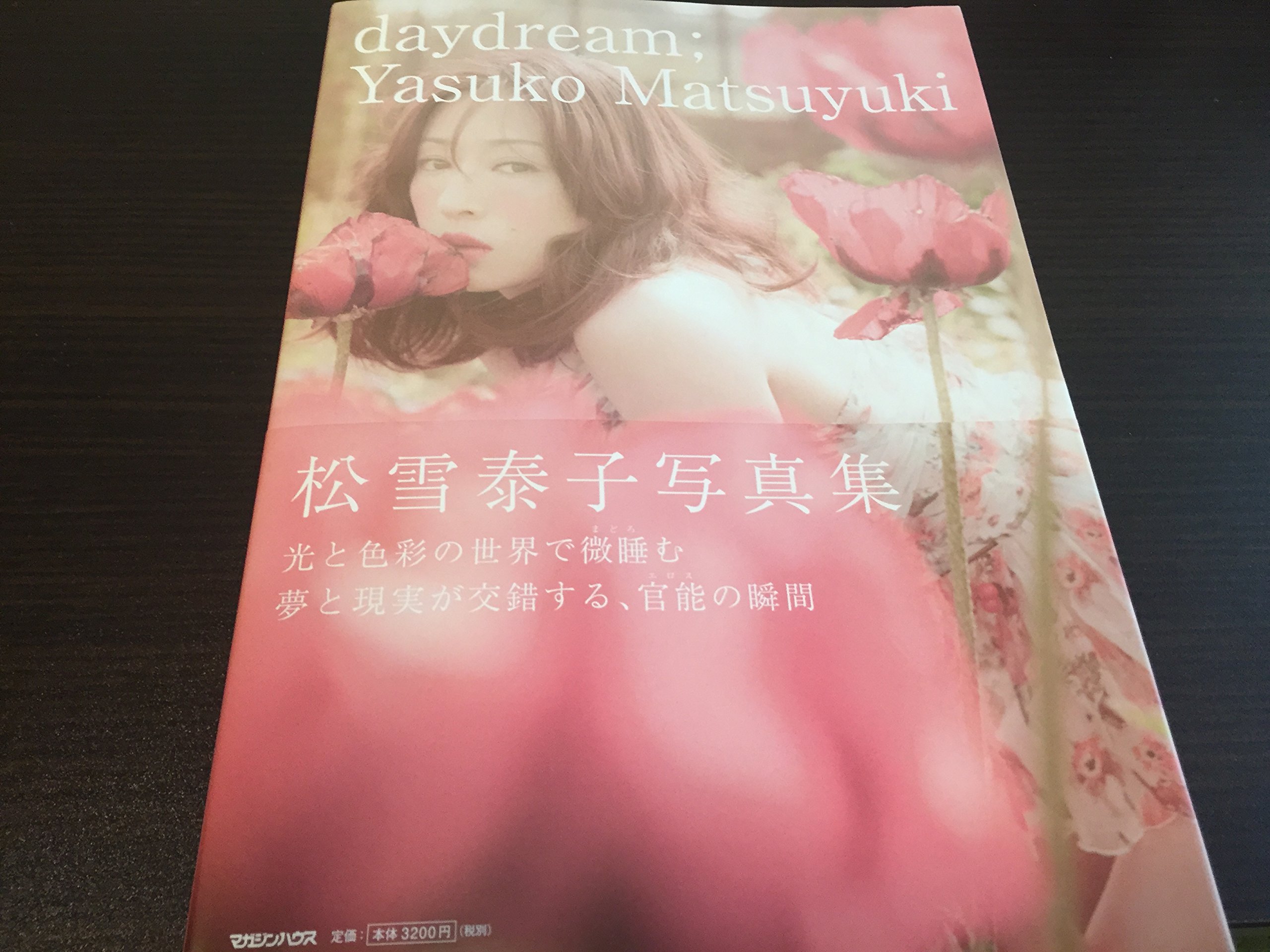 松雪泰子「daydream」 松雪泰子 写真集 daydream 直筆サイン入り 新品